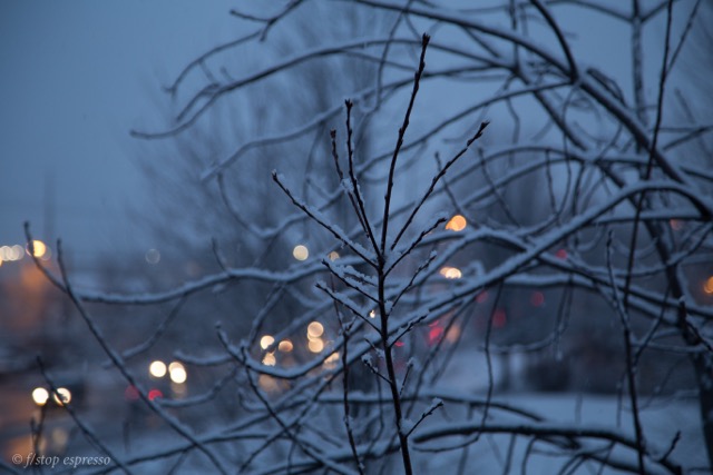 morning november snow
