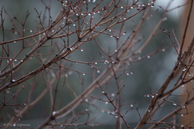 cold morning rain